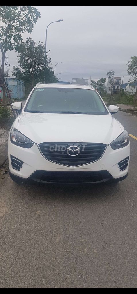 Ảnh số 5