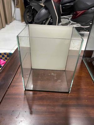 Thanh lý bể cá betta. Mua bán Phụ kiện, Thức ăn, Dịch vụ tại Quận 10 Tp Hồ Chí Minh được đăng bởi Bethie 