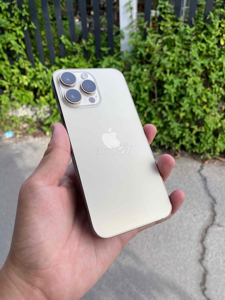 iPhone 14 Pro Max 256GB QT Gold. Mua bán Điện thoại tại Quận Ninh Kiều Cần Thơ được đăng bởi Ty Xperia hình 1