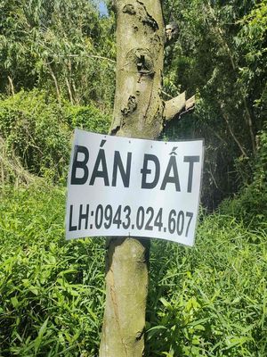 Bán đất