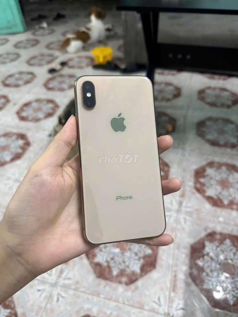 iPhone Xs, 256g, zin full cn, pin 100. Mua bán Điện thoại tại Thành phố Thủ Dầu Một Bình Dương được đăng bởi Phước Mobile hình 1