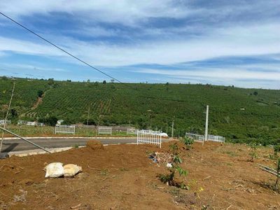 cho thuê đất Lộc Ngãi. Cho thuê đất tại Huyện Bảo Lâm Lâm Đồng được đăng bởi Phương Anh