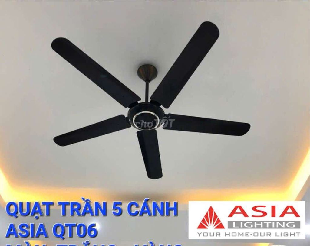 Quạt trần 5 cánh hộp số Asia