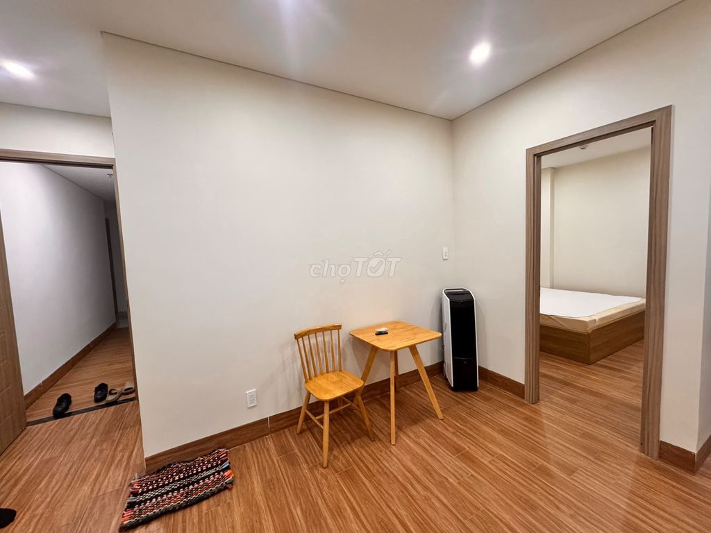 Extra-spacious 1-bedroom apartment on Trần Đại Nghĩa — photo 3