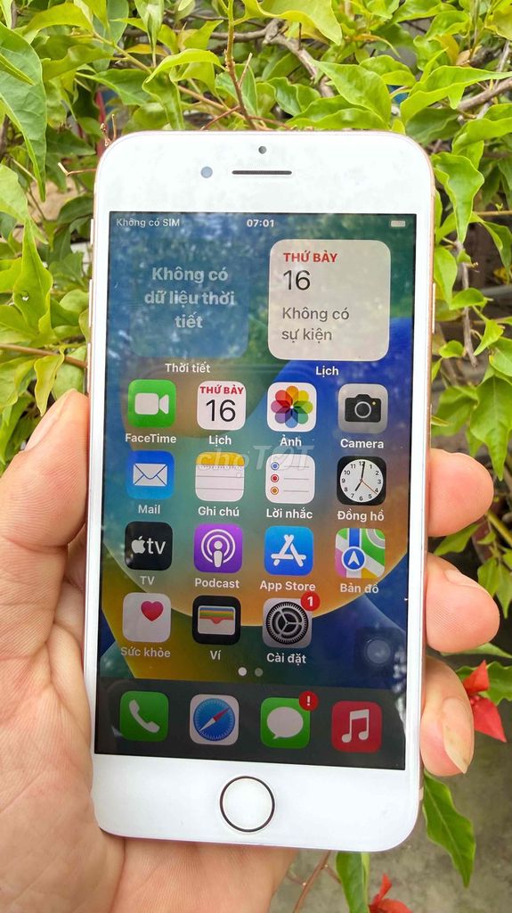 8G Gold. Mua bán Điện thoại tại Quận Ninh Kiều Cần Thơ được đăng bởi HK Mobile  hình 1