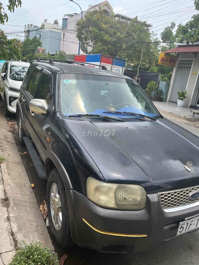 Ảnh số 5