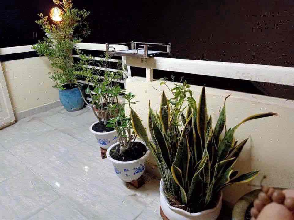 Chính Chủ Cho Thuê Nhà HXH Võ Thị Sáu Q.3 5pn 5wc Ful NT Giá 25,2tr Ạ