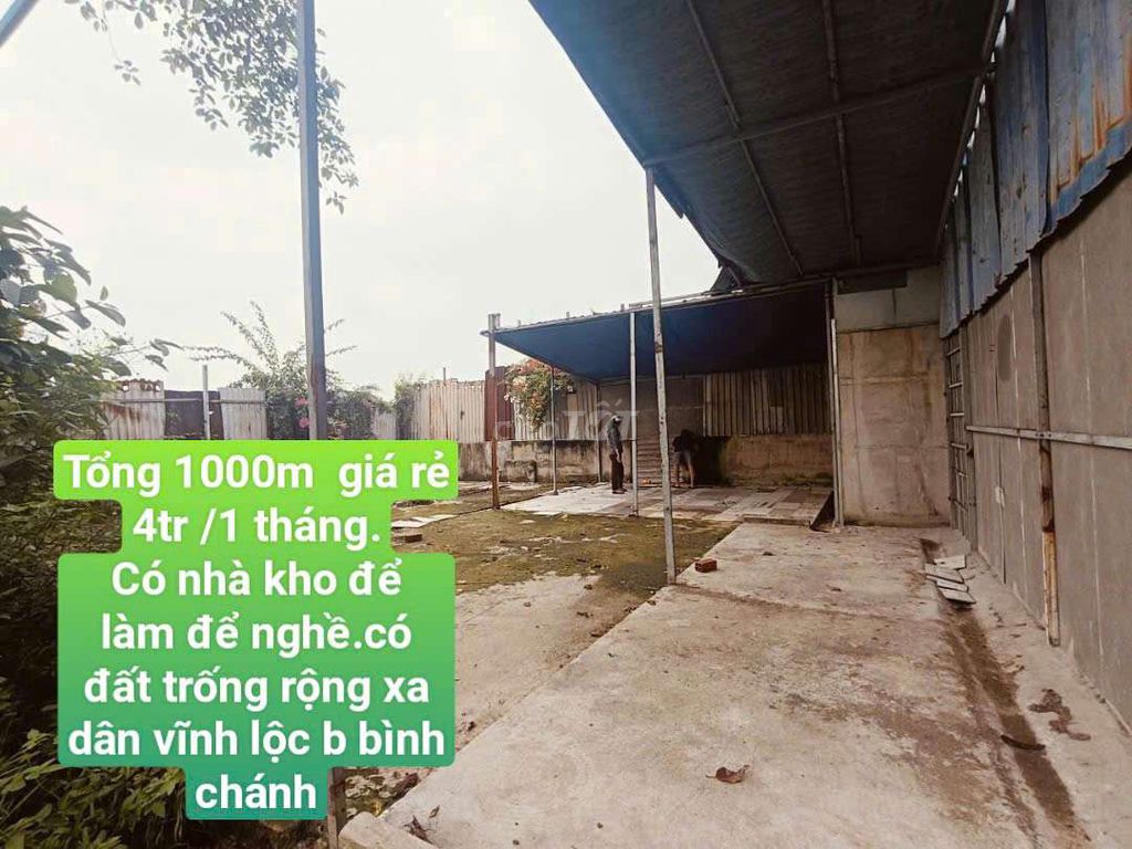 Cho thuê 1000m đất có sẵn nhà vĩnh lộc b đường kênh trung  ương