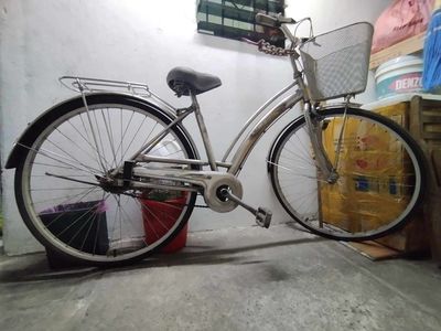 Bán xe đạp martin cũ