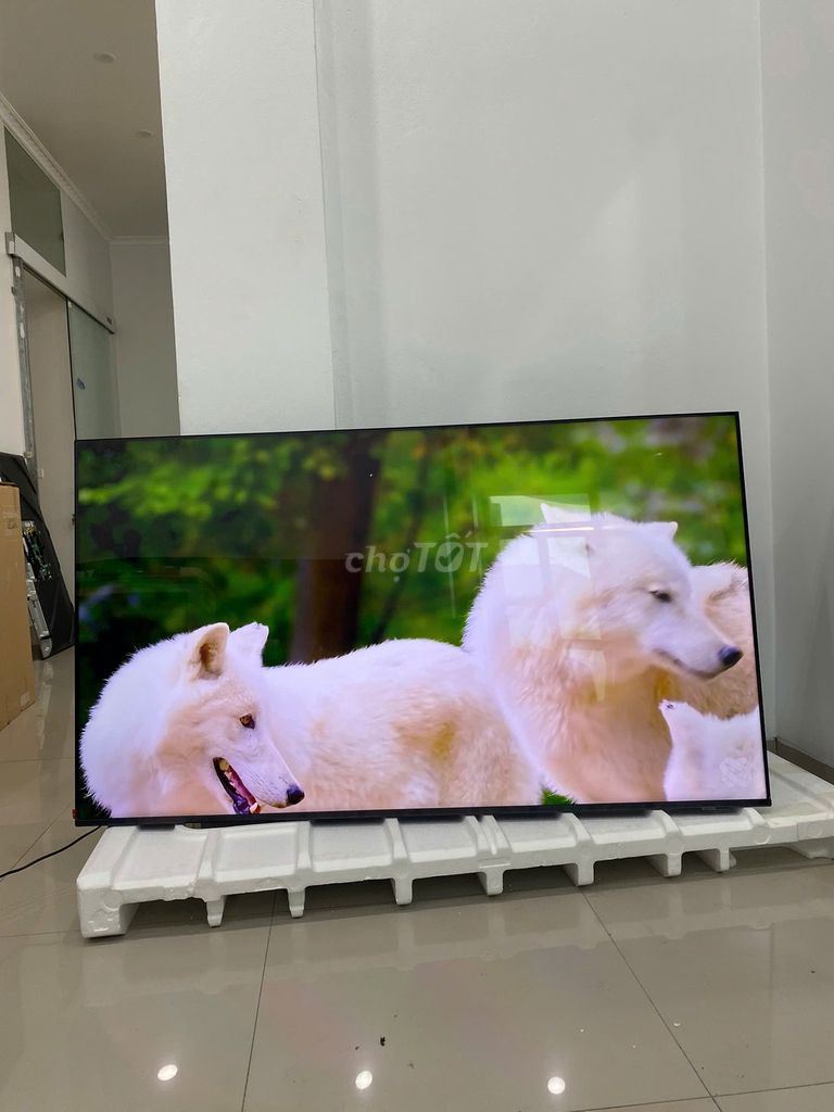 Tivi Aqua 65 inch 4K QLED. Mua bán Tivi, Âm thanh tại Quận Nam Từ Liêm Hà Nội được đăng bởi muavaban50 hình 1