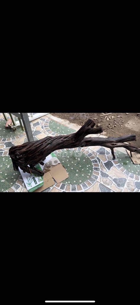 Lũa hồ cá. Mua bán Phụ kiện, Thức ăn, Dịch vụ tại Thành phố Cao Lãnh Đồng Tháp được đăng bởi Duy 19 hình 1