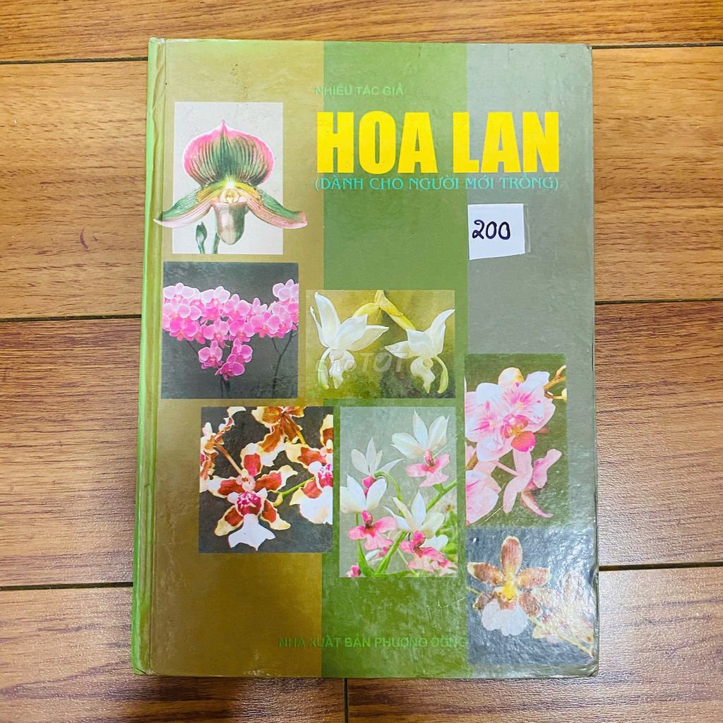 HOA LAN giành cho người mới trồng #TAKE