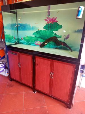 Bể cá.cnm. Mua bán Phụ kiện, Thức ăn, Dịch vụ tại Thành phố Dĩ An Bình Dương được đăng bởi Phương Thao