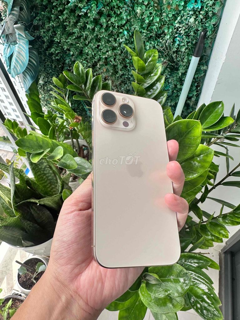 Apple iPhone 16 Pro Max 256GB Vàng Việt Nam. Mua bán Điện thoại tại Quận 8 Tp Hồ Chí Minh được đăng bởi Le Den hình 1