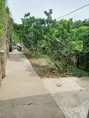 Bán đất 82m2 tại Đức Diễn, Phú Diễn, Hà Nội giá rẻ chỉ 31,5 triệu/m2