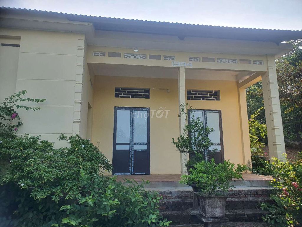 ĐẤT ĐẸP BA VÌ — Đất 2500m² Huyện Ba Vì