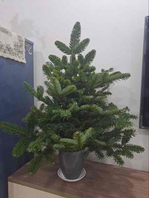 cho thuê đất trống