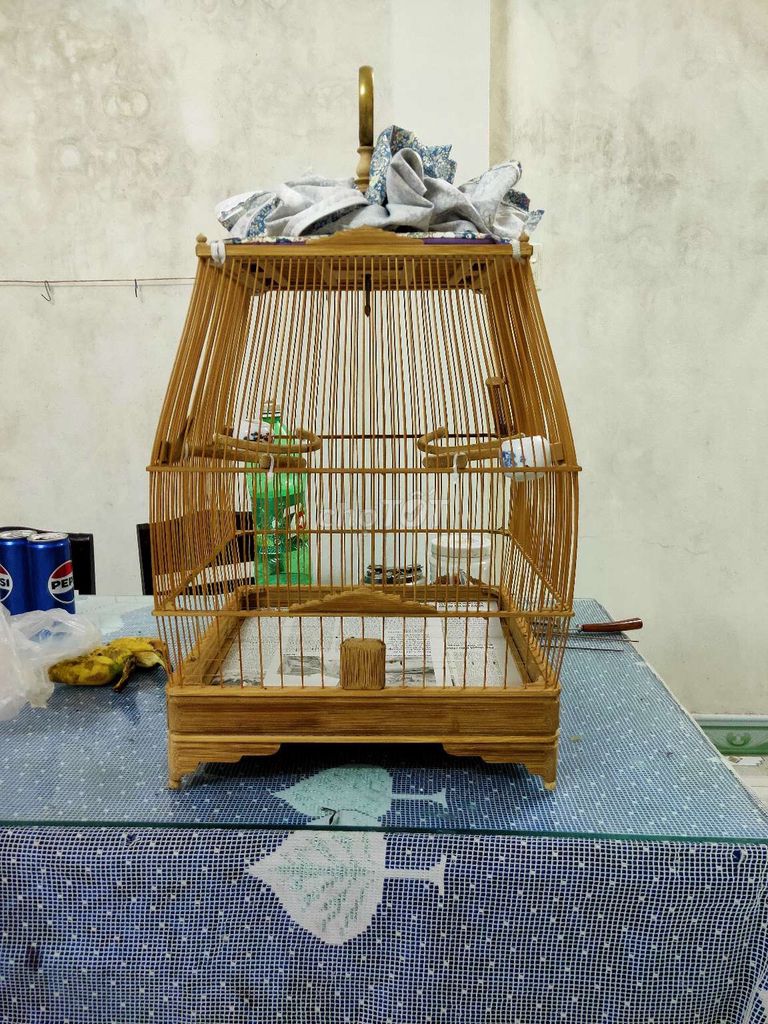 Lồng sin cao. Mua bán Chim tại Quận Sơn Trà Đà Nẵng được đăng bởi Đoàn Văn Tâm hình 1