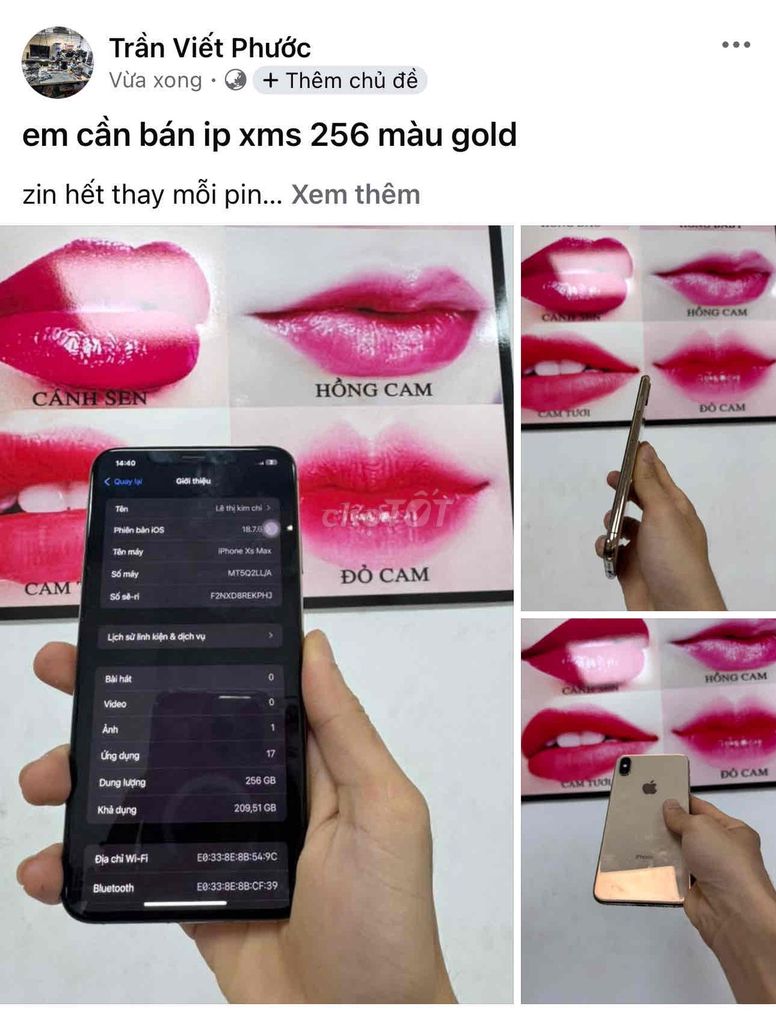 iPhone Xs Max 256GB Vàng. Mua bán Điện thoại tại Huyện Long Thành Đồng Nai được đăng bởi Trần Việt hình 1