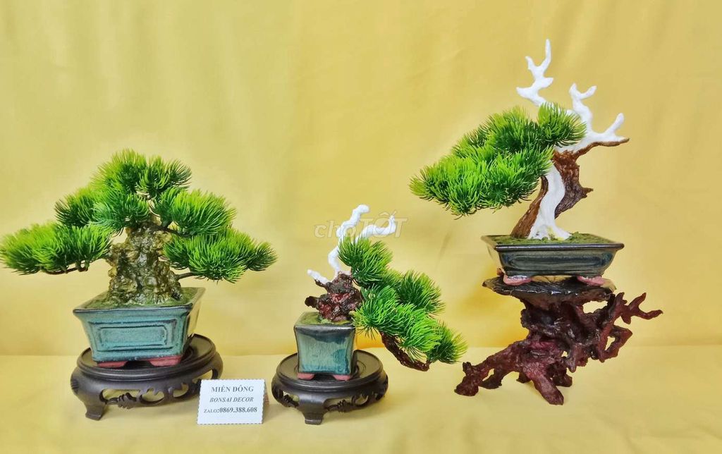 Bộ 3 cây Bonsai mini decor nghệ thuật 001