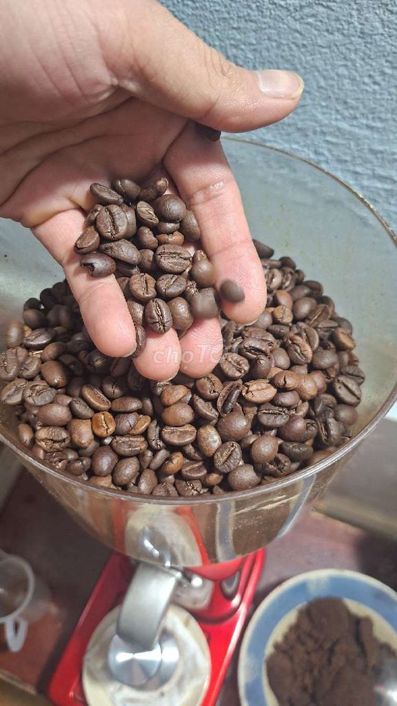 Hạt cà phê nguyên hạt 1kg. Mua bán Đồ ăn, thực phẩm và các loại khác tại Thành phố Bến Tre Bến Tre được đăng bởi Tạp Hóa Online hình 1