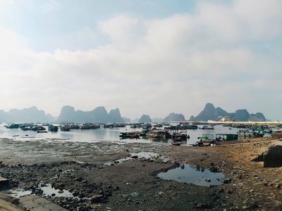 Hải sản chợ đầu mối QN bán tại HN (TƯƠI, GIÁ TỐT). Mua bán Đồ ăn, thực phẩm và các loại khác tại Quận Đống Đa Hà Nội được đăng bởi Nhân sự