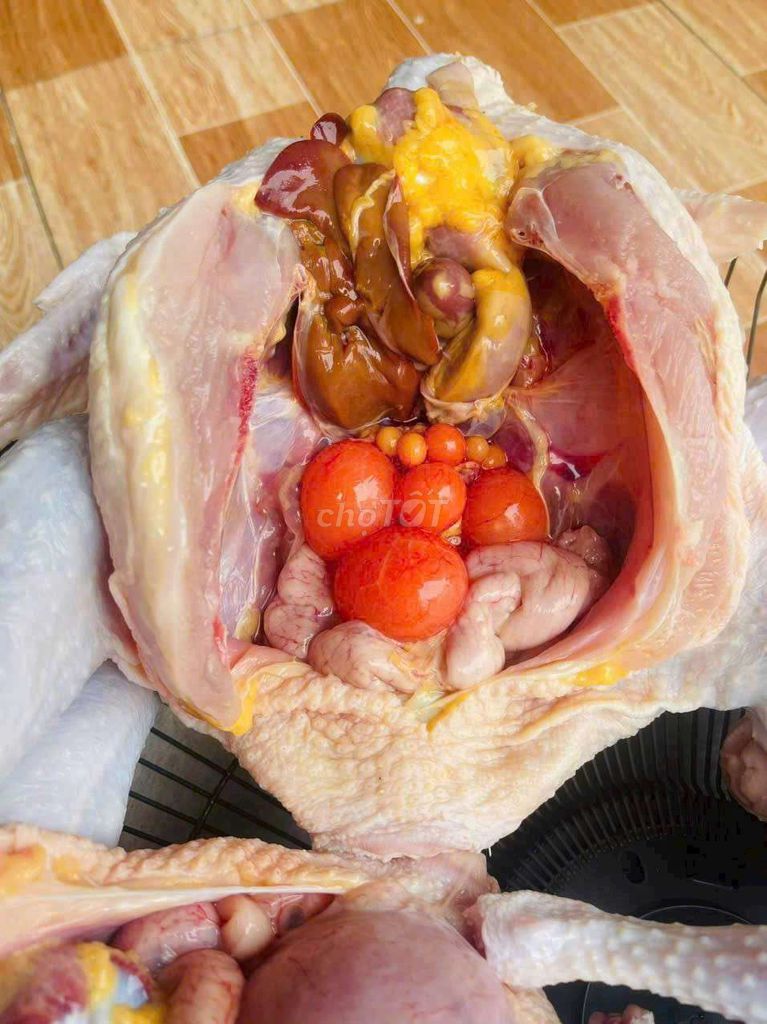 Thịt gà đẻ nguyên con. Mua bán Đồ ăn, thực phẩm và các loại khác tại Thành phố Thủ Đức Tp Hồ Chí Minh được đăng bởi phạm nhi hình 1