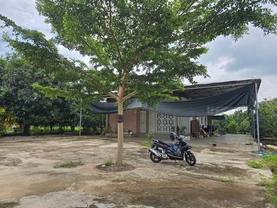BÁN NHÀ + VƯỜN BƯỞI , CÓ SỔ HỒNG RÕ RÀNG, KHÔNG TRANH CHẤP, QUY HOẠCH. Mua bán đất tại Thành phố Đồng Xoài Bình Phước được đăng bởi nguyễn thanh tùng