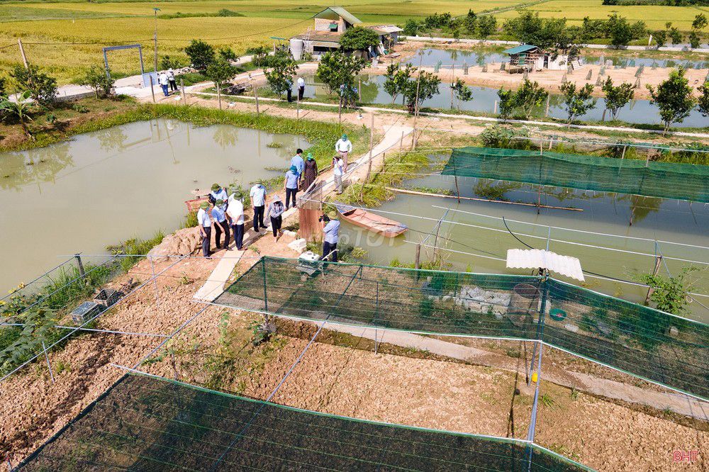 Cho thuê đất nông nghiệp 4000m2 Phong Phú Bình Chánh