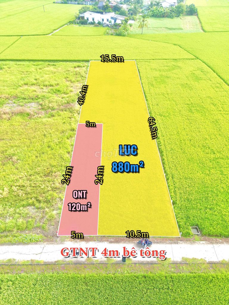 Đất làm nhà vườn tuyệt đẹp, đường thông