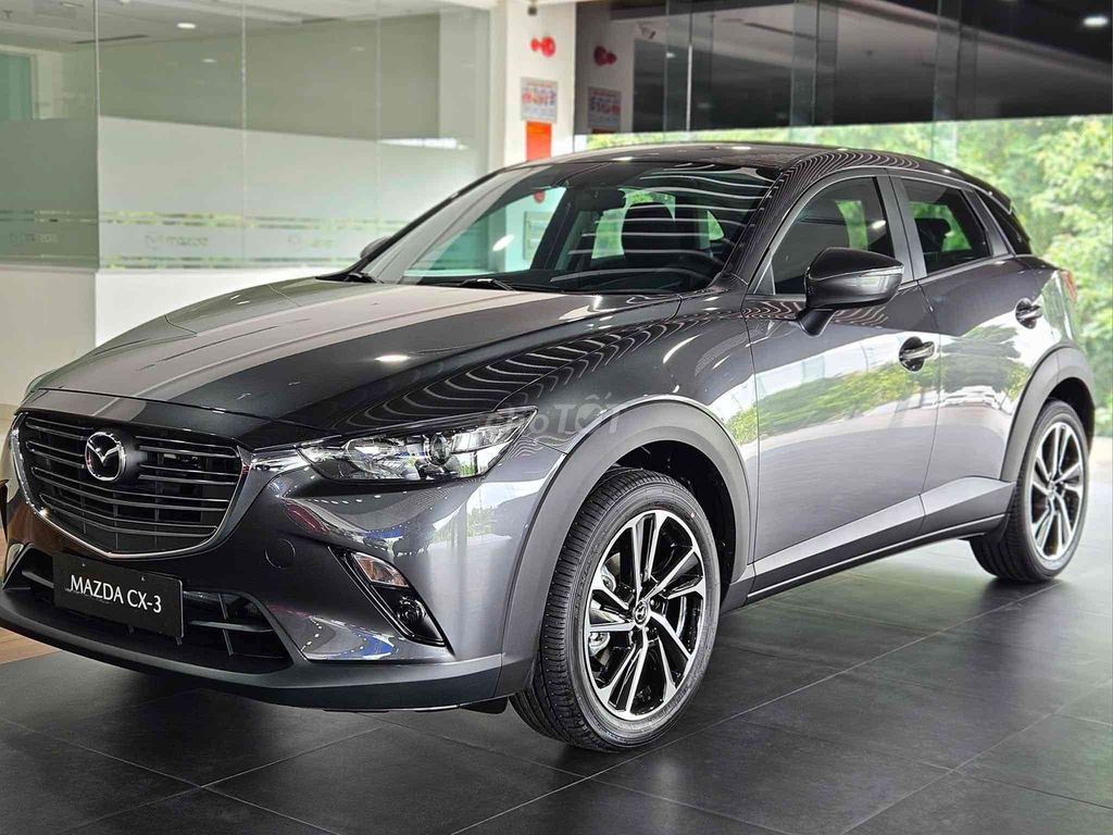 Ảnh số 2