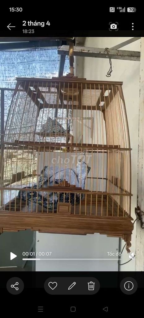 Lồng chim Gỗ Nâu. Mua bán Chim tại Quận Sơn Trà Đà Nẵng được đăng bởi Thanh hình 1