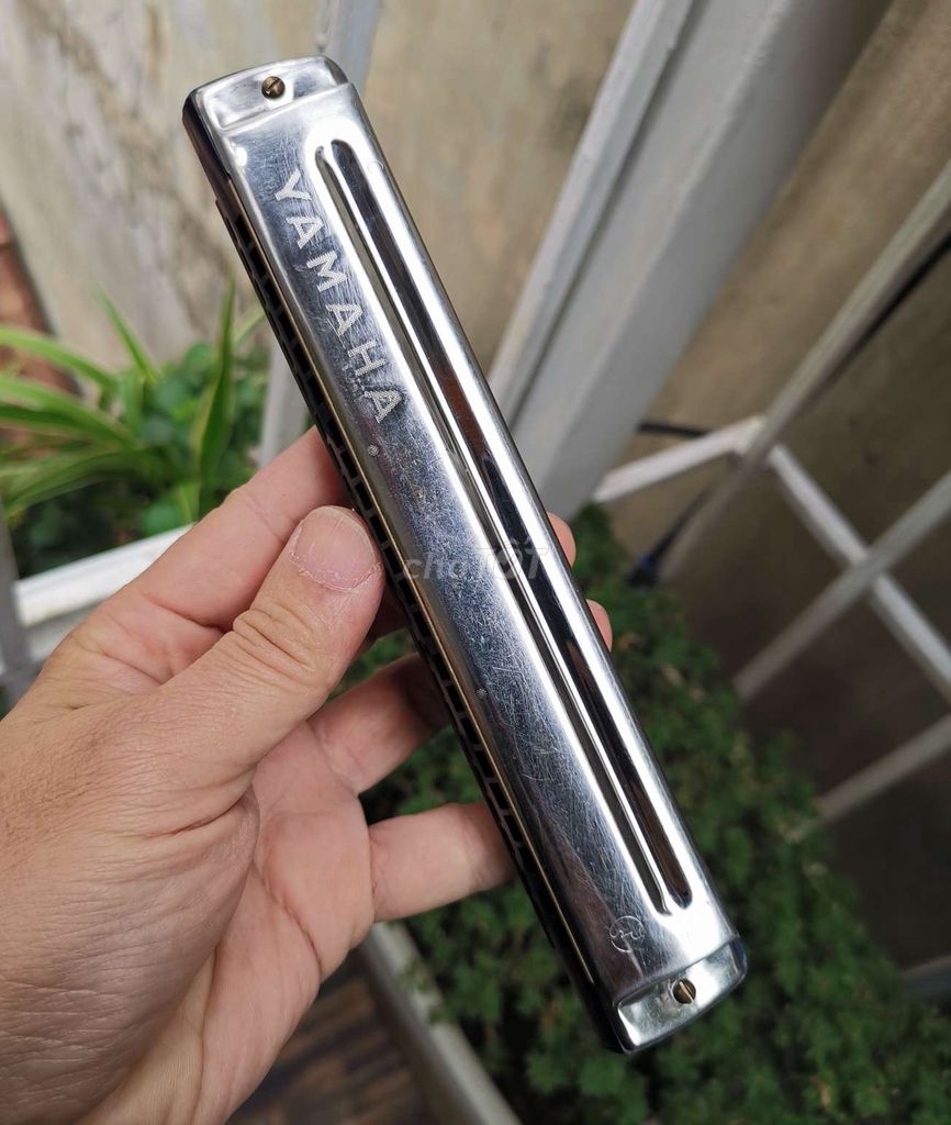 Kèn harmonica Yamaha STNO220 Nhật xịn