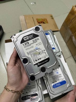 Ổ cứng HDD PC chuẩn WD 1Tb sk 100 350k. Mua bán Linh kiện (RAM, Card...) tại Quận Bình Thạnh Tp Hồ Chí Minh được đăng bởi Lưu Bích Vân