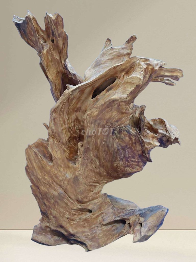 Tượng gỗ lũa Chim nghệ thuật 83x57x47cm. Mua bán Đồ sưu tầm, đồ cổ tại Quận Hải Châu Đà Nẵng được đăng bởi Trần Xuân Dương hình 1