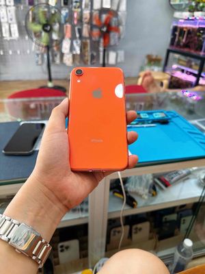 Iphone XR QuốcTế full zin nguyên bản 100% ngon 🍀. Mua bán Điện thoại tại Quận Thanh Khê Đà Nẵng được đăng bởi Hoàng Apple Iphone sỉ giá rẻ 273 Nguyễn Hoàng Đà Nẵng