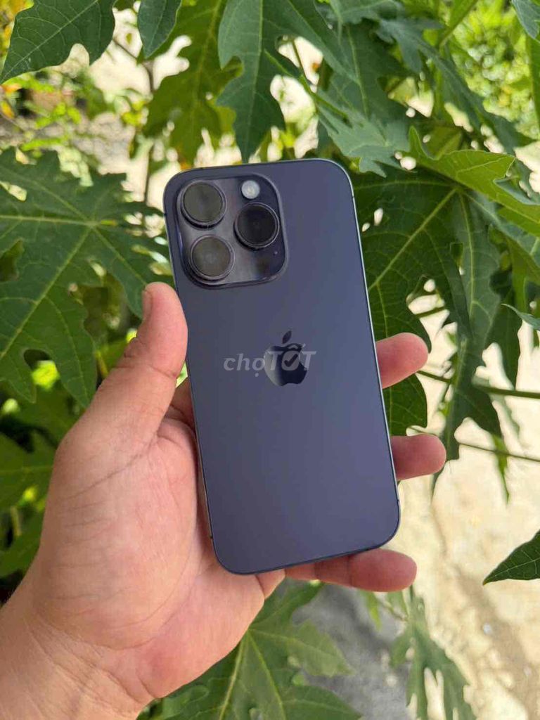iPhone 14 Pro /128GB LLA. Mua bán Điện thoại tại Quận Ninh Kiều Cần Thơ được đăng bởi  VŨ APPLE cần thơ hình 1