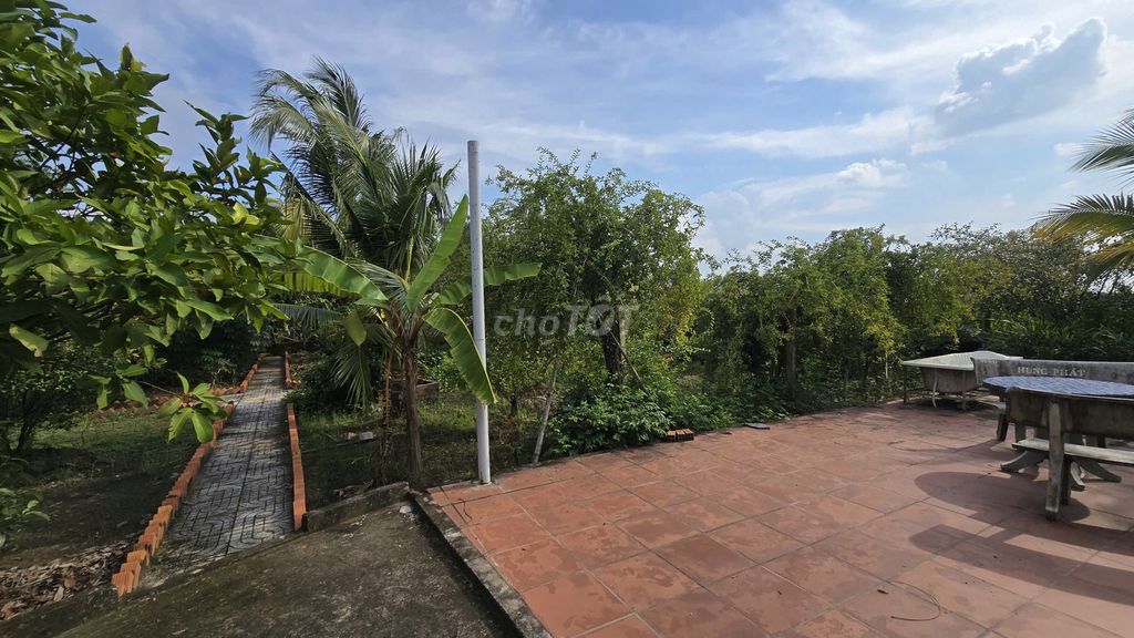 1200m2 nhà vườn kênh cây Xanh xã Bình Mỹ chỉ 3.6 tỷ Đường Bình Mỹ, Xã Bình Mỹ, Huyện Củ Chi, Tp Hồ Chí Minh Huyện Củ Chi Tp Hồ Chí Minh