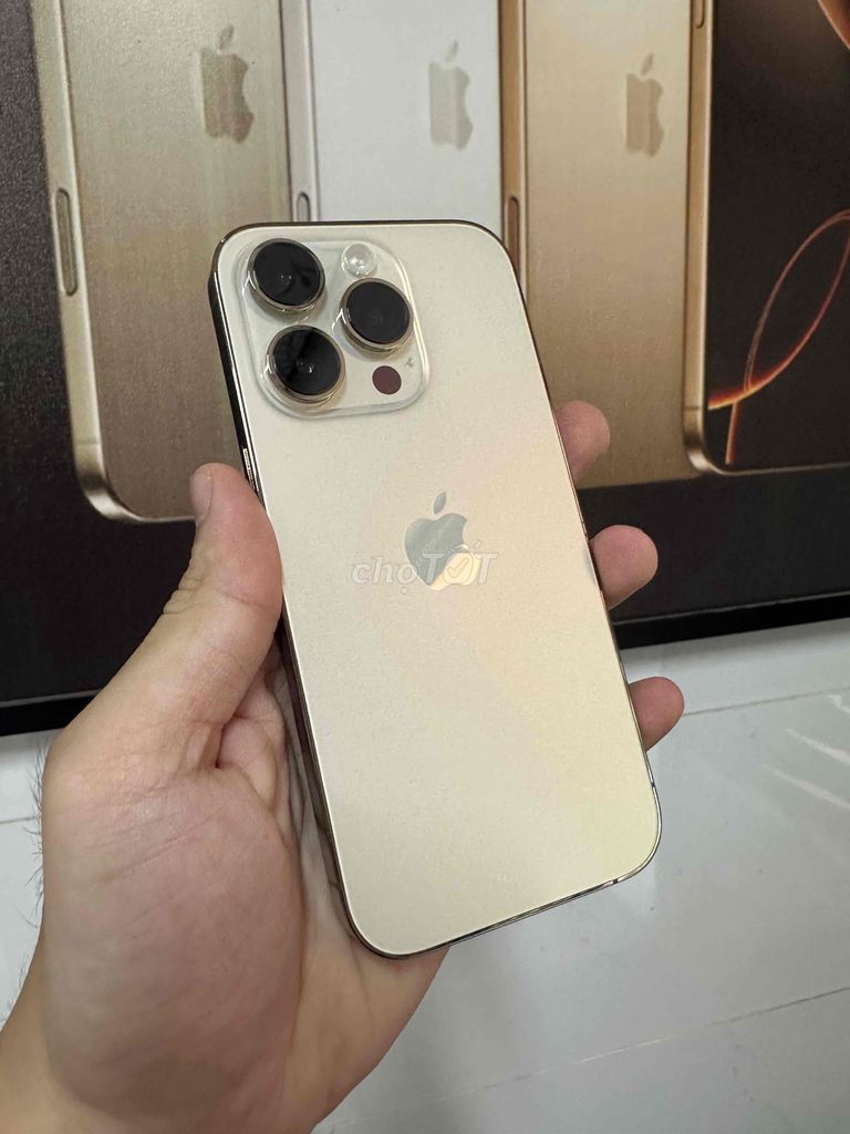 Apple iPhone 14 Pro 128GB Vàng Gold Đã qua sử dụng. Mua bán Điện thoại tại Quận Ninh Kiều Cần Thơ được đăng bởi Lê Trí Dũng hình 1