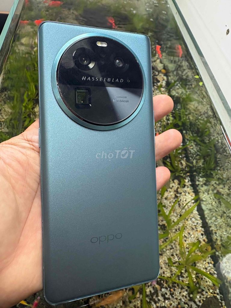 Oppo Find X6 256GB Xanh. Mua bán Điện thoại tại Thành phố Biên Hòa Đồng Nai được đăng bởi văn bách hình 1