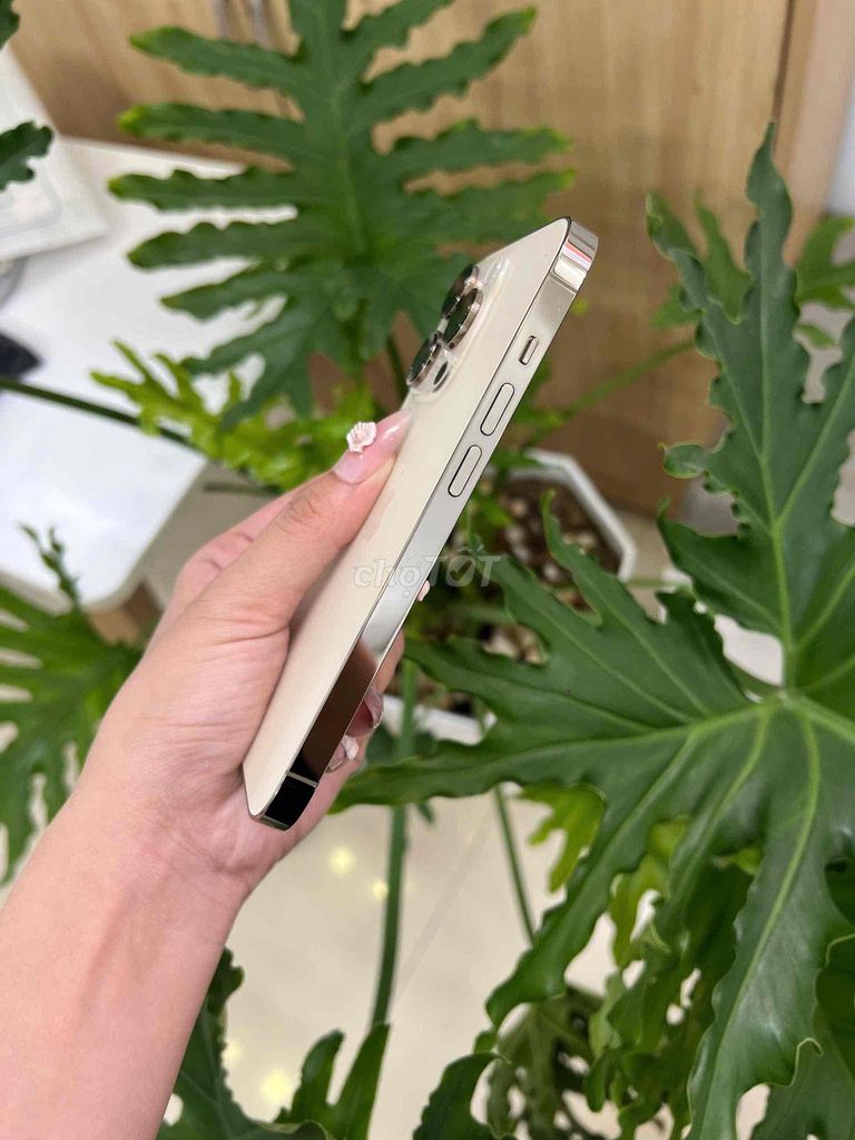 iPhone 13 Pro 128GB Vàng Đã sử dụng. Mua bán Điện thoại tại Quận Ninh Kiều Cần Thơ được đăng bởi Thiện iphonecantho hình 1