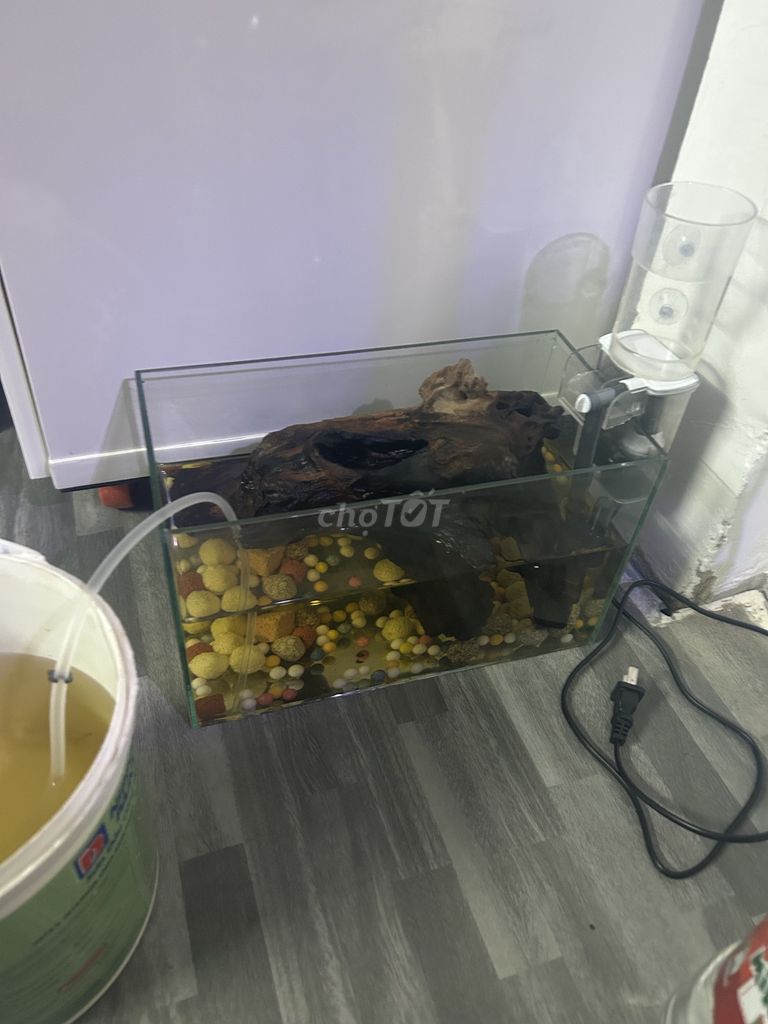 Hồ cá mini 30x15x15 cm. Mua bán Phụ kiện, Thức ăn, Dịch vụ tại Quận Ninh Kiều Cần Thơ được đăng bởi Lê Văn Hùng hình 1