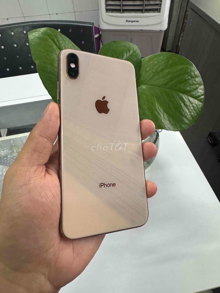 iPhone Xs Max Quốc Tế. Mua bán Điện thoại tại Quận Ninh Kiều Cần Thơ được đăng bởi phan Nhân  hình 1