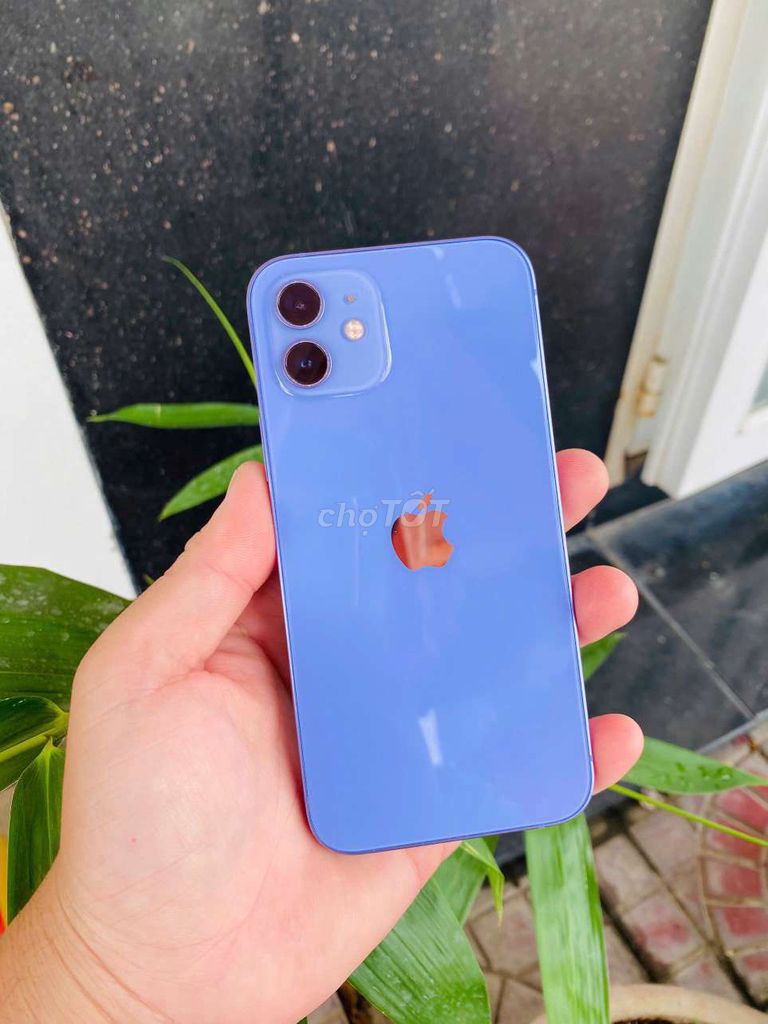 iPhone 12 64G QT Pin 100% Zin Full Vn. Mua bán Điện thoại tại Quận Ninh Kiều Cần Thơ được đăng bởi Nhựt Mobile hình 1