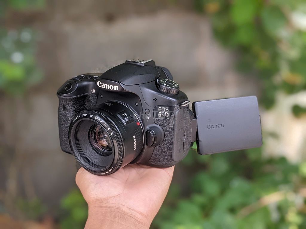 [Máy ảnh KTS] Canon 60D kèm lens 50MM. Mua bán Máy ảnh, Máy quay tại Quận 6 Tp Hồ Chí Minh được đăng bởi may anh KTS hình 1