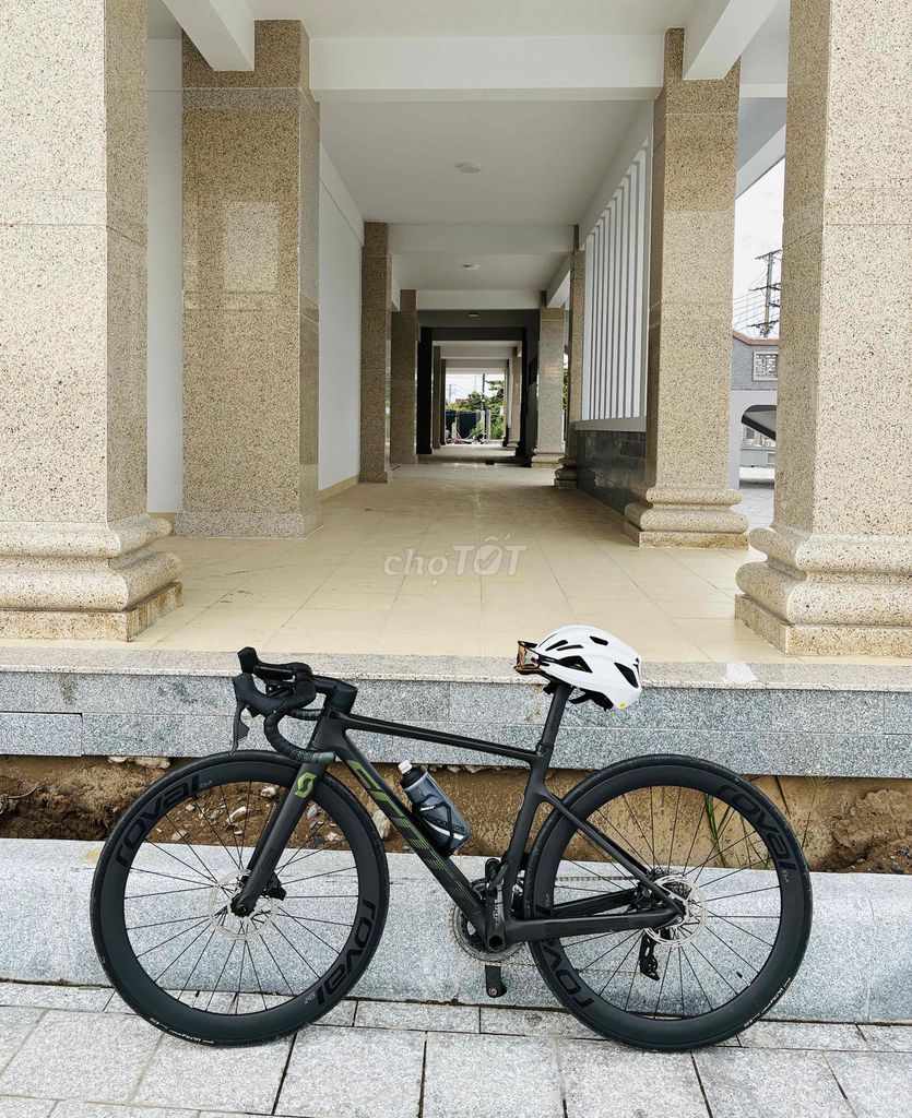 cần ra đi 3 em này . chi tiết kb zalo ***. Mua bán Xe đạp tại   được đăng bởi Shin Garden Cần Thơ Cây cảnh Cây Phong Thuỷ Cây để bàn hình 4