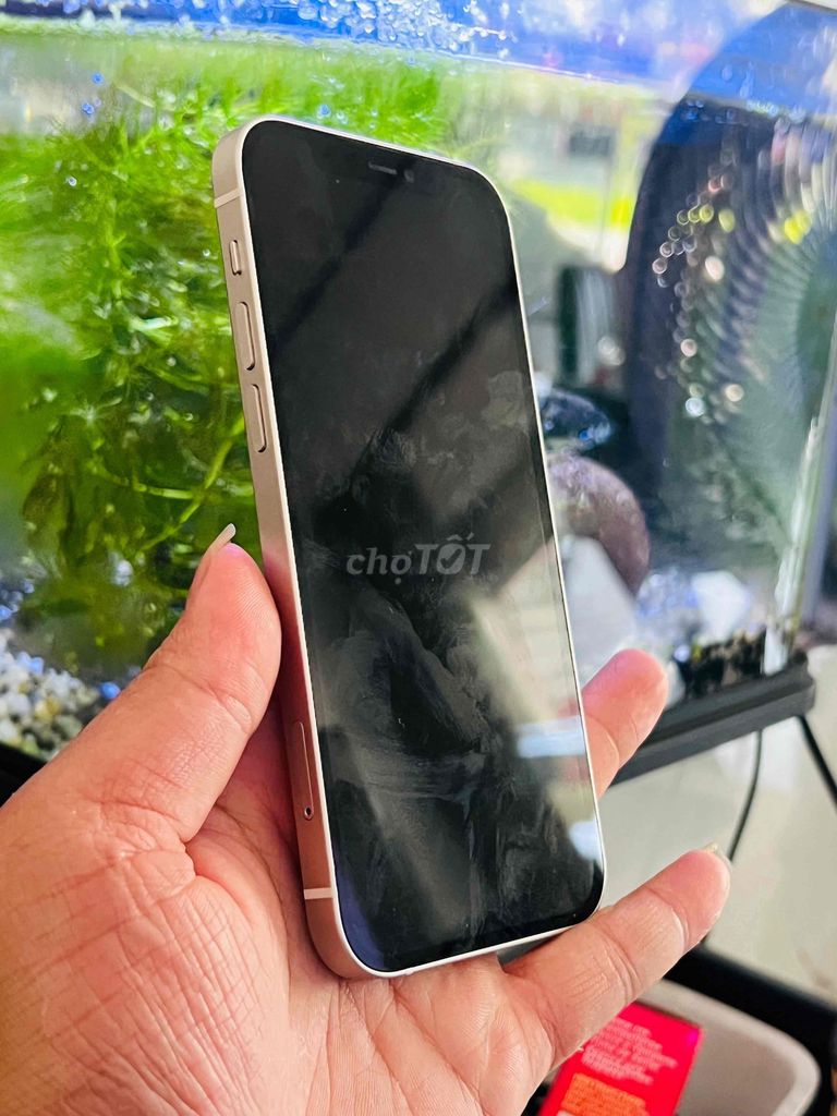 Apple iPhone 12 Trắng Mới 100%. Mua bán Điện thoại tại Quận Cẩm Lệ Đà Nẵng được đăng bởi xuân tuấn hình 1
