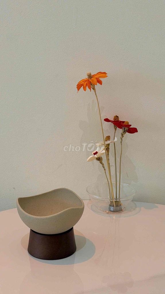 Khay đựng kem Gốm gỗ Nâu be Sang trọng. Mua bán Dụng cụ nhà bếp tại Quận 1 Tp Hồ Chí Minh được đăng bởi Hạ Hạ hình 1