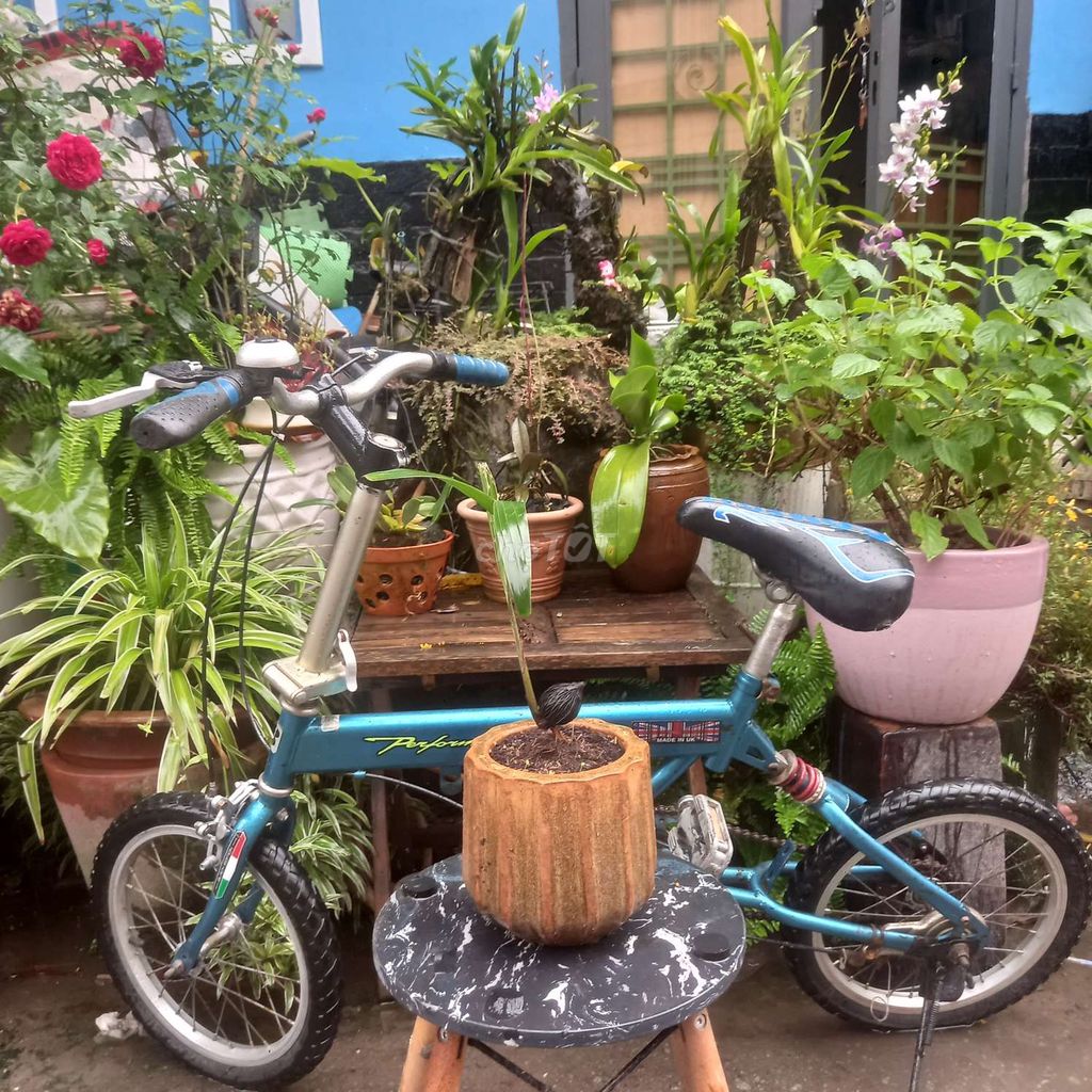 Xe đạp nhật. Mua bán Xe đạp tại Thành phố Thủ Đức Tp Hồ Chí Minh được đăng bởi Lữ kiến quốc hình 4