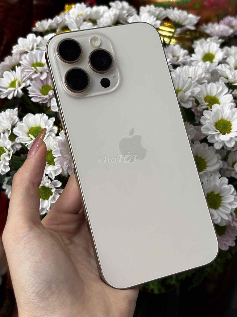 16 Pro Max 256GB 98% Pin 88 Qte Mỹ chip A18 Pro. Mua bán Điện thoại tại Quận Ninh Kiều Cần Thơ được đăng bởi Quý Mobile Cần thơ hình 1